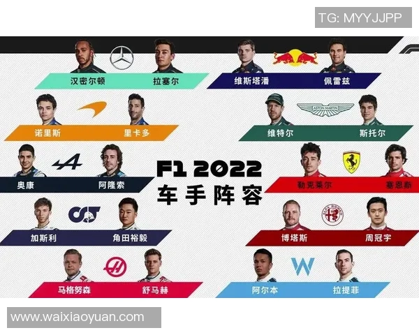 F1赛季车队排名及车手表现总结